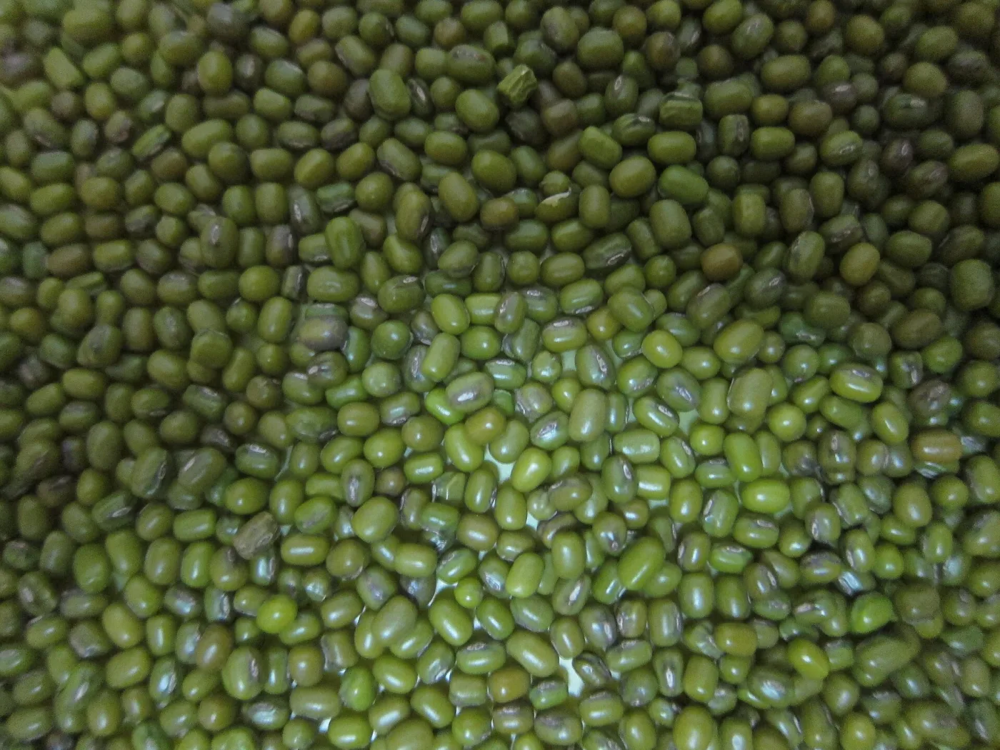 Whole cherupayar — green gram, Vigna radiata.