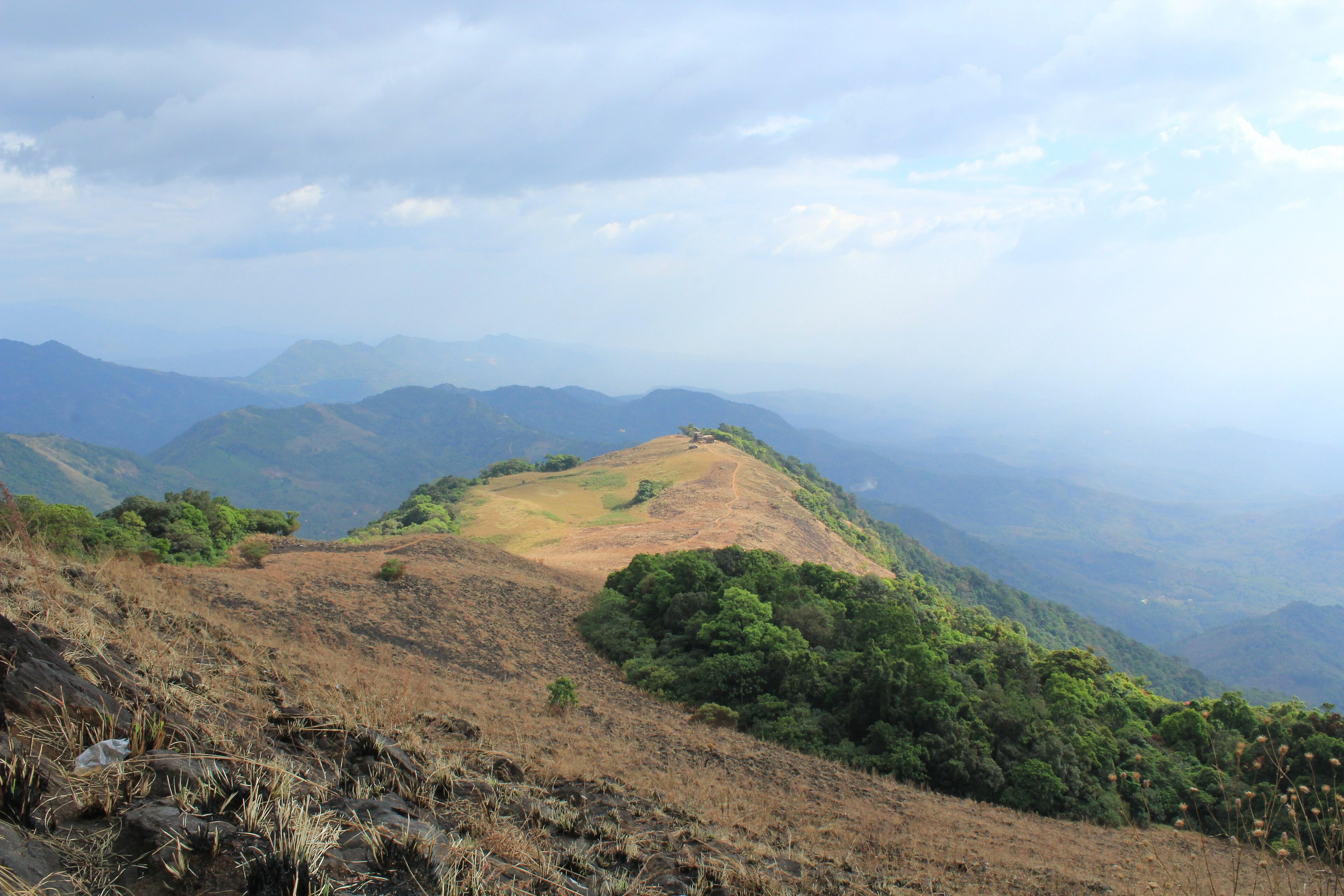 Palakkayam Thattu