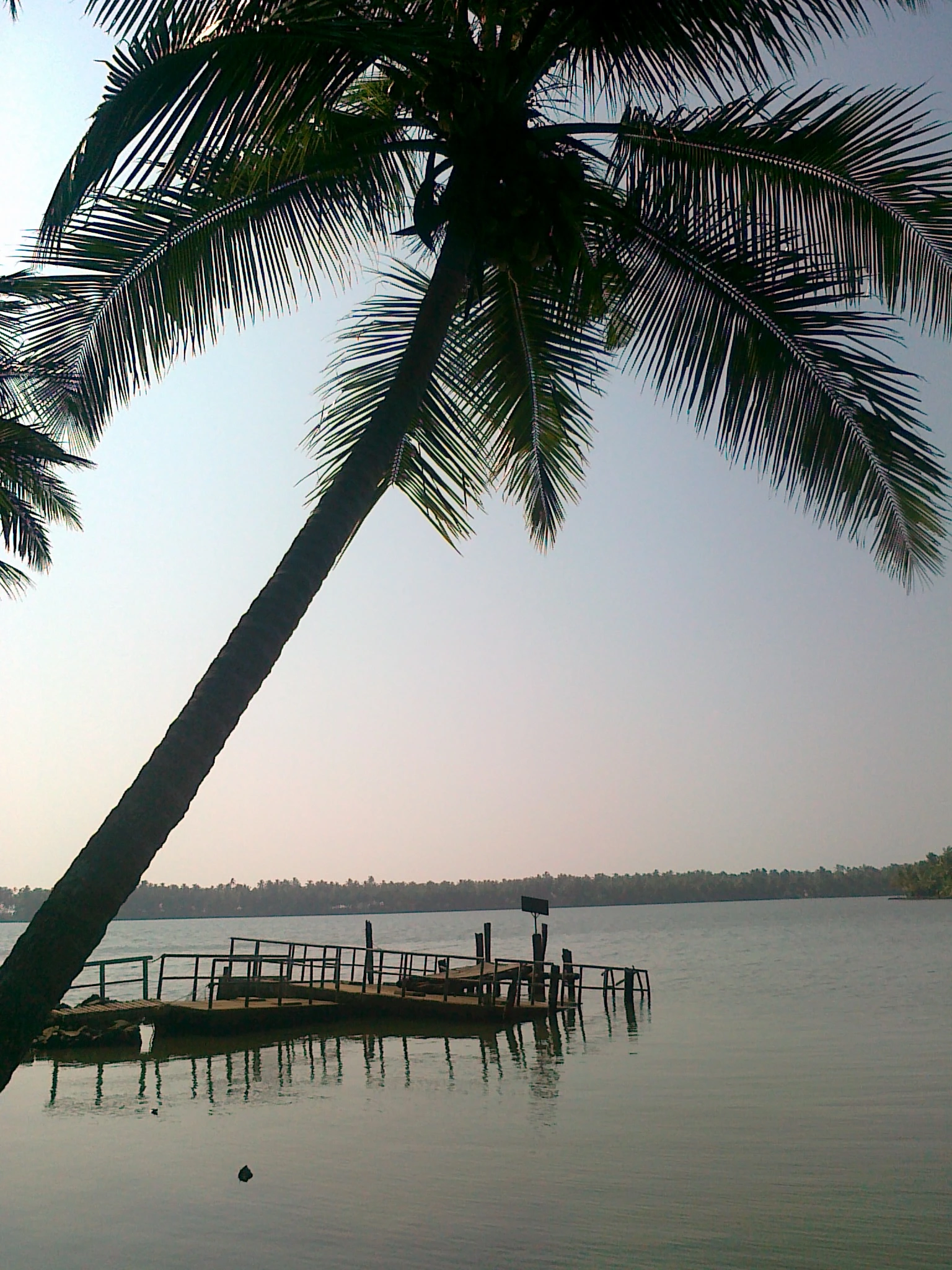 Kavvayi River (Thattar River)